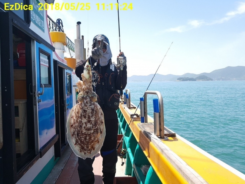 여수갑오징어 문어 대박조황